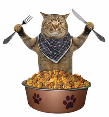 The cat with a knife and a fork sits in front of the big bowl of dry feed. White background.