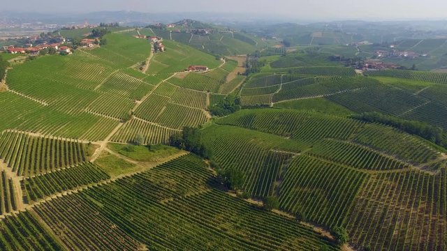 Aerial view of vineyard hills. Piedmont region. Italy
