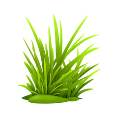 Green grass, vector