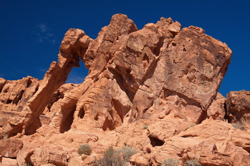 Elephant Rock in Valley of Fire State Park in Nevada in the USA
