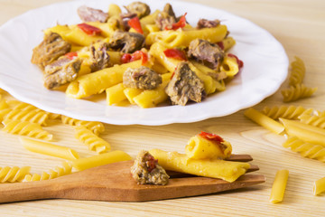 fork with stewed macaroni and meat
