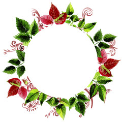 Leaves of rose wreath in a watercolor style. Aquarelle leaf for background, texture, wrapper pattern, frame or border.
