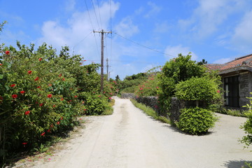 竹富島