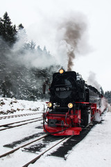Brockenbahn in the railway station of Schierke im Harz, Germany. 