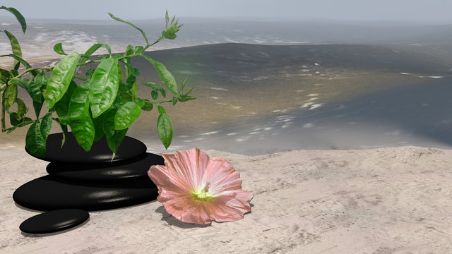 rose Blüte, Orangenbaum und Bimssteine auf Sandstrand vor der Weite des Meeres. 3d render