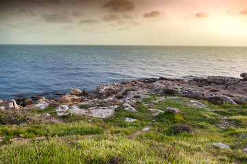 Fototapeta na wymiar Sea stone coast with green grass at sunset. Beautiful scenery, Cyprus, Paphos