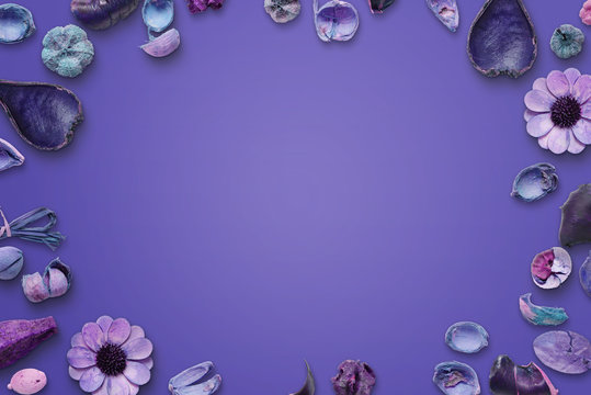 Flower purple background. Free space in the middle for text.