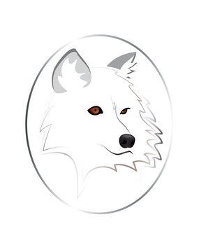 White wolf isolated