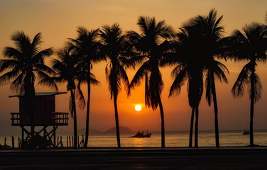 Obraz premium Coqueiros de copacabana 