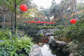 Beautiful nature scene around Japanese Garden in  Descanso Garden