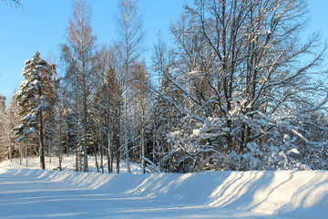 Plowed winter street in sunlight