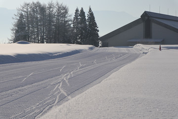 Fototapeta premium クロスカントリースキーのコース