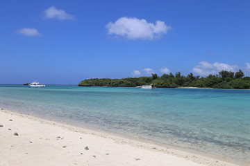 Fototapeta premium 川平湾