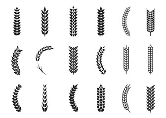 Vector wheat ears icons. Oat and wheat grains