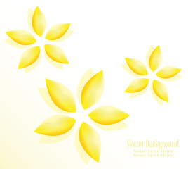 Abstract colorful flowers. A symbol of purity, peace, love and happiness.