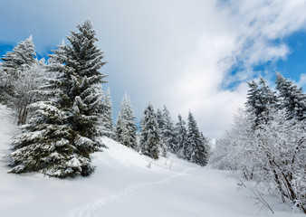 Fototapeta na wymiar Winter mountain snowy landscape