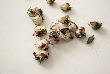 Dried flower buds on a white background