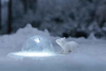 kleiner Eisbär entdeckt die Welt