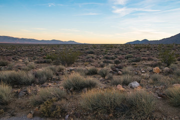 Arizona desert, US southwest
