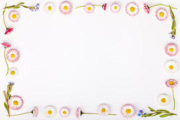 frame made of garden daisy flowers isolated on white background with copy space for your text. flat lay, top view. beauty, wedding, Mothers day or Womens day composition