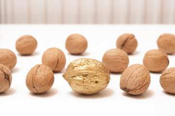 Business conceptual image. Leader, individuality, best worker, best employee, team.