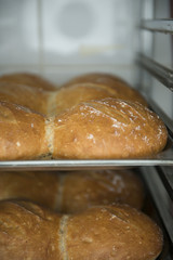 A lot of ready-made fresh bread in a bakery oven in a bakery. Bread making business. Fresh bread.