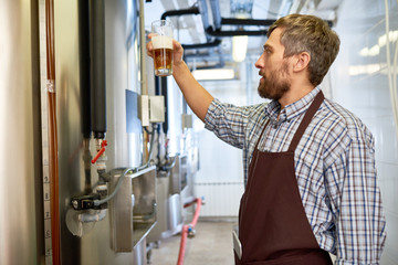 Serious thoughtful middle-aged Caucasian beer engineer in apron picking up full beer glass examining color and foam of brewed drink