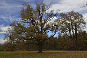 Hluboka Castle and Park