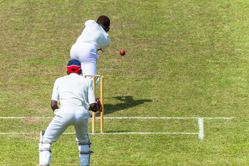 Obraz premium Cricket Action Batsman Ball Bowler Wicket Keeper Closeup unidentified.