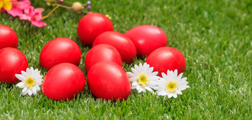 Fototapeta na wymiar Easter eggs and white daisies on green grass, close up view