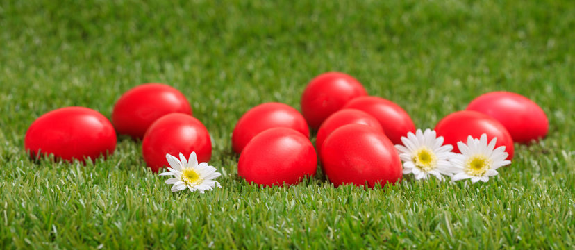 Easter eggs and white daisies on green grass, close up view