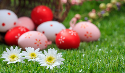 Fototapeta na wymiar Easter concept. White daisies on green grass, blurred easter eggs background. Selective focus on the flowers