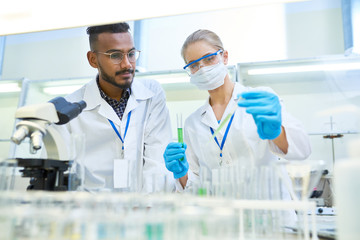 Portrait of young Middle-eastern scientist researching antibiotics while working on medical...