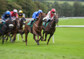 Galloping motion blur horserace