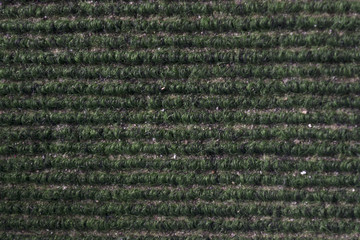 Texture and Background