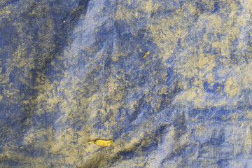 Texture and Background