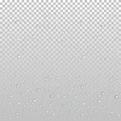 Vector Water drops on glass. Rain drops on transparent background