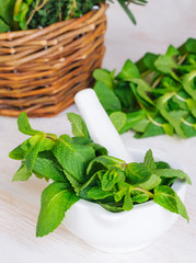 Mint twigs in the pounder