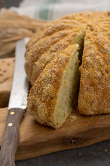 Homemade baked round bread with corn and wheat