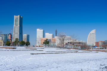 積雪 横浜 みなとみらい 象の鼻パーク