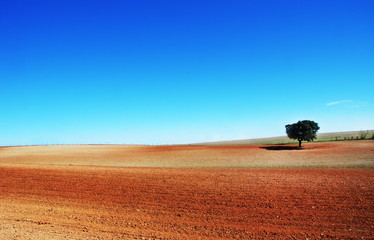 plowed field on Alentejo region, Portugal