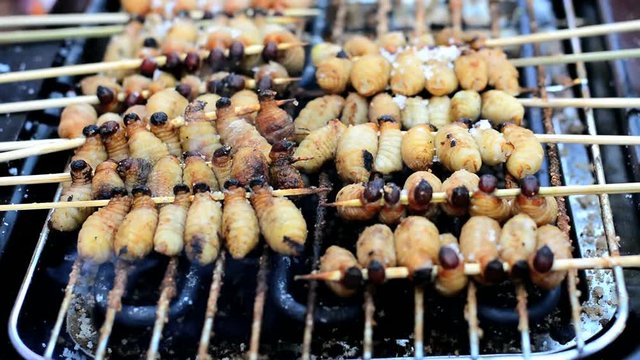Red palm weevil, sago worm (Rhynchophorus ferrugineus) grill on broiler at street food in Thailand 