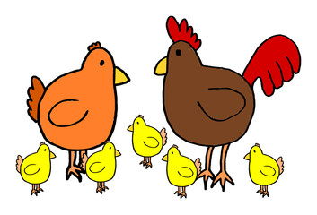 Cute kid easy vector illustration of hen family including mother, father and kids, isolated on white background.