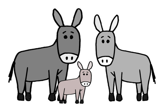 Cute kid easy vector illustration of donkey family including mother, father and kid, isolated on white background.