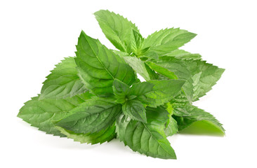 mint leaves isolated