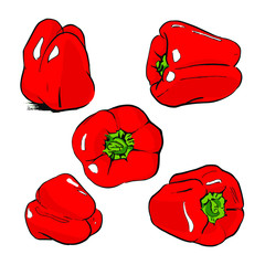 vegetable set of five beautiful red sweet peppers with a green peduncle. A black outline in a comic style. Hand-drawn vector illustration. Isolated on white background.