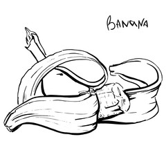 banana with a contrasting black stroke half peeled. vector hand drawn sketch marker. isolated white background