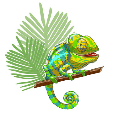 Green cartoon chameleon is sitting on branch and looking. Thoughtful and lazy wild life. Reptile on a white background. Vector illustration. Can be used for fashion print design.