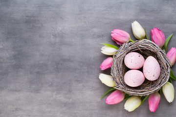 Pink tulip with pink eggs nest on a gray background. Easter greetings card.