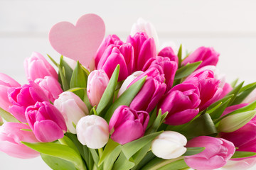 Pink tulip on the white background. Easter background